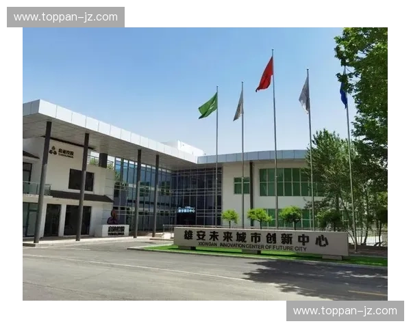 球类定向板技术应用及发展趋势分析与未来创新方向探讨